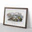 Seal Illustration by Oliver Goldsmith - Picture Frame Painting Print-55614269-55614265