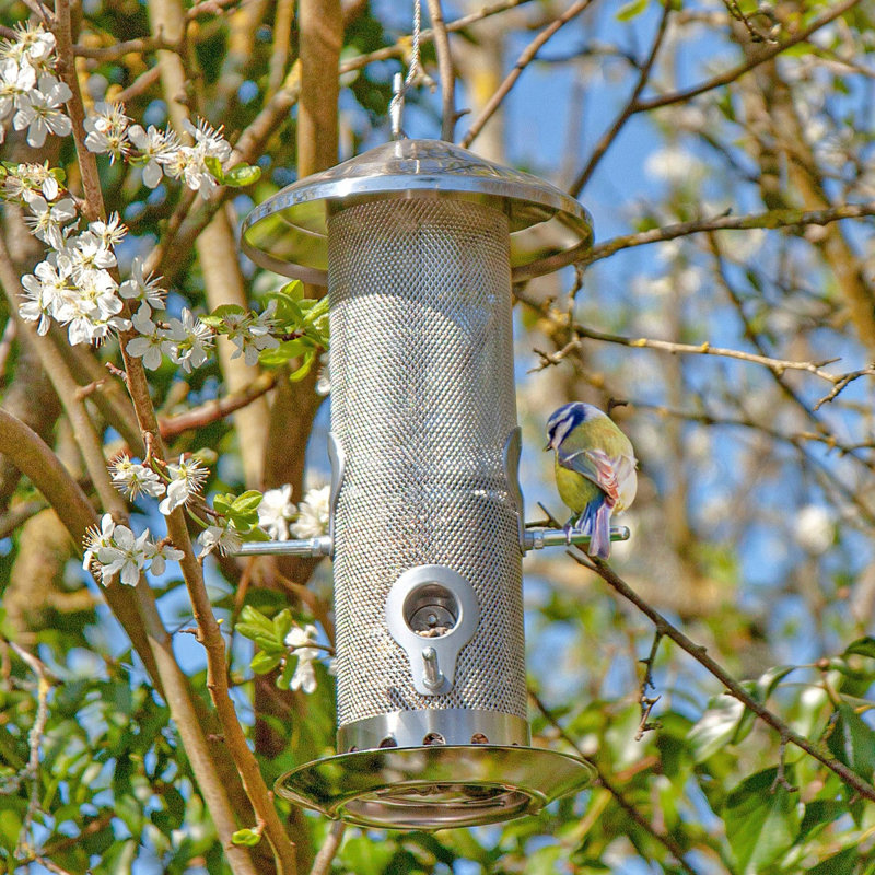 Caylyn Hanging Tube Bird Feeder