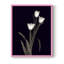 «Tulip Pose I», reproduction encadrée - bois massif-837436232-837436274