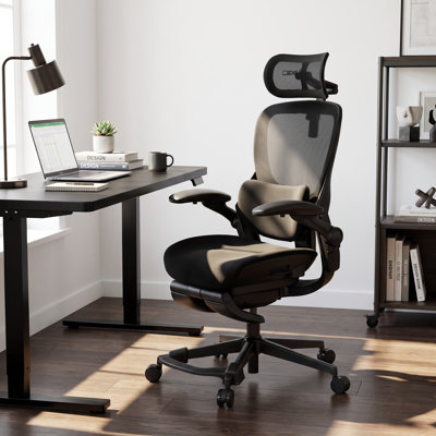 Cablady S2 Ergonomic Office Chair in Black