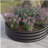 Metal Planter Box, Raised Garden Bed,with Safety Edging, Easy-to-assemble Stock Tank-965316182-965316170-965316172