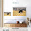 Autruche Brampt-108888760