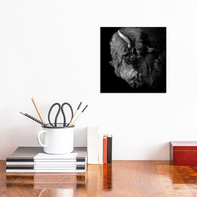 Buffalo in Black and White 1 Piece Wrapped Canvas Wall Art