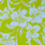KEY WEST OYSTER YELLOW