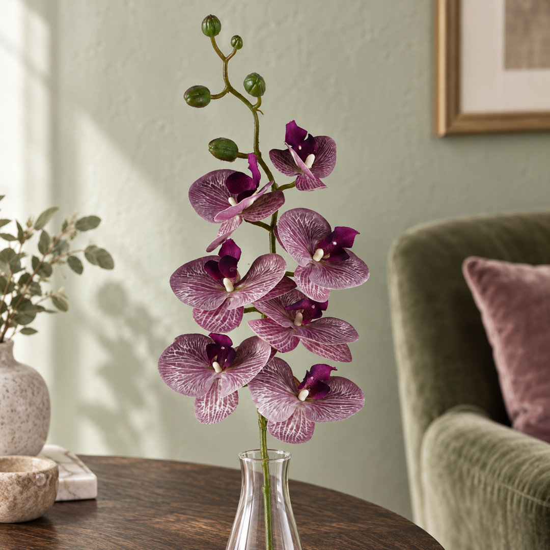 100cm Purple Phalaenopsis Orchid Stem