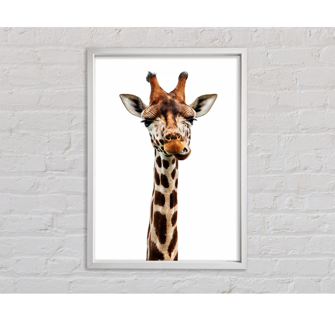 Goofy Giraffe - Druck