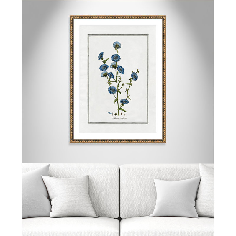 Colombe Soft Botanical I - Framed Art Full Bleed, Gold Bead Framed, 26.5" W x 36.5" H