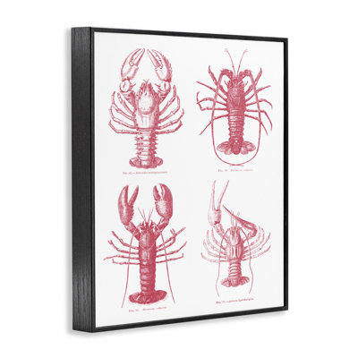 Estampe numérique Timeless Lobsters Species, design par lettres et doublure
