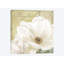 Magnolia I, impression sur toile-29172699-72785114-72785119
