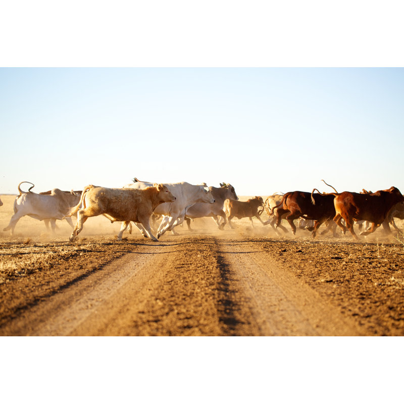 Cattle on a Cattle Station 1 Piece Wrapped Canvas Wall Art, 20cm H x 30cm W x 3.8cm D