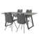 Alonia 5 Piece Pewter Rectangular Dining Set