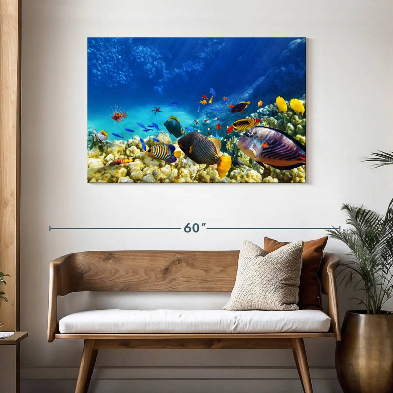 Brampt Marine Life, H 30 po x l 45 po