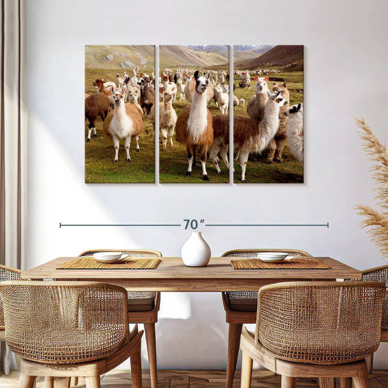 Brampt Llamas And Alpacas, 36" H x 57" W