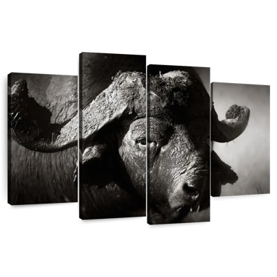 Buffle d'Afrique sauvage Brampt