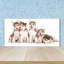 Luite 50cm W x 100cm L Glass Peel and Stick Panel