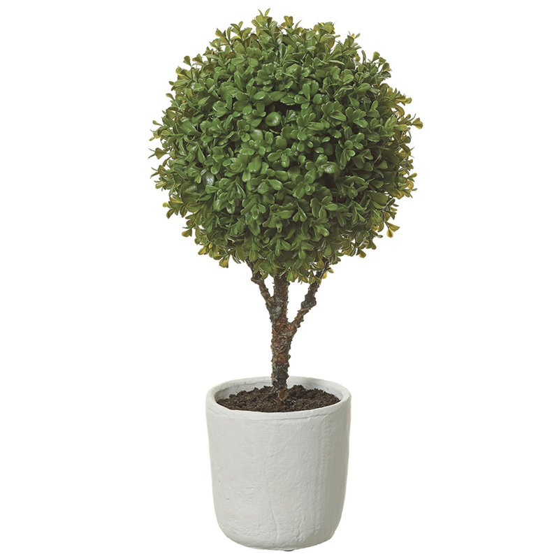 Topiaire 22 "buis en pot d'argile vert