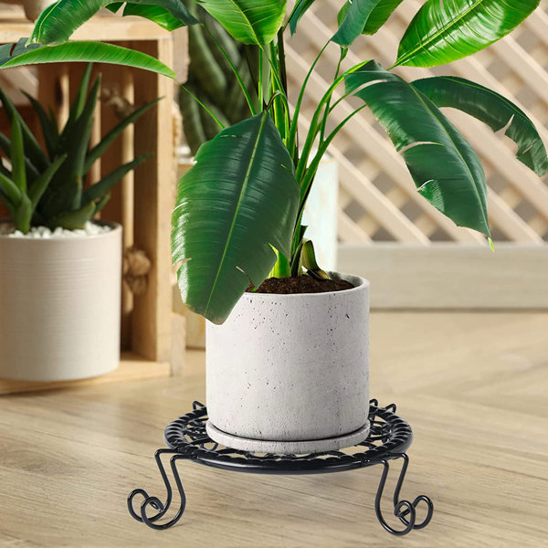 Alcott Hill® Avrom Caddy Plant Stand | Wayfair