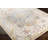 Oriental Indoor Rug-1833844871