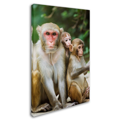 Ann 'Monkey' Photographic Print on Wrapped Canvas