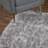 Petrey Indoor Rug-88290737