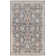 Daison Viscose Oriental Indoor Rug