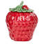 Ensemble de 10 pots à fraises