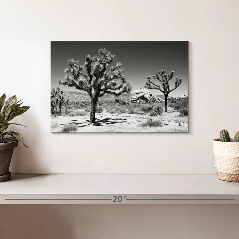 Harnek célèbres arbres Joshua, H 8 po x l 12 po