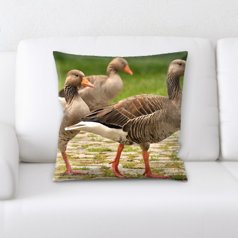 Coussin en oies