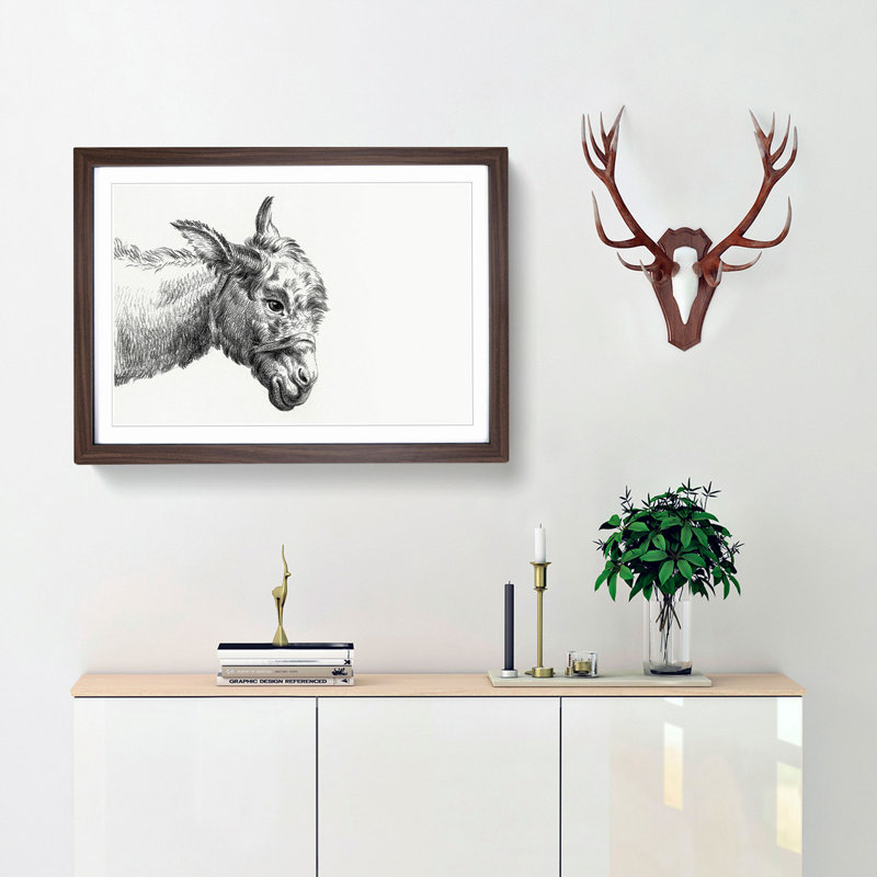 A Head of a Donkey by Jean Bernard - Framed Print, 24cm H x 33cm W x 2cm D, Walnut Framed