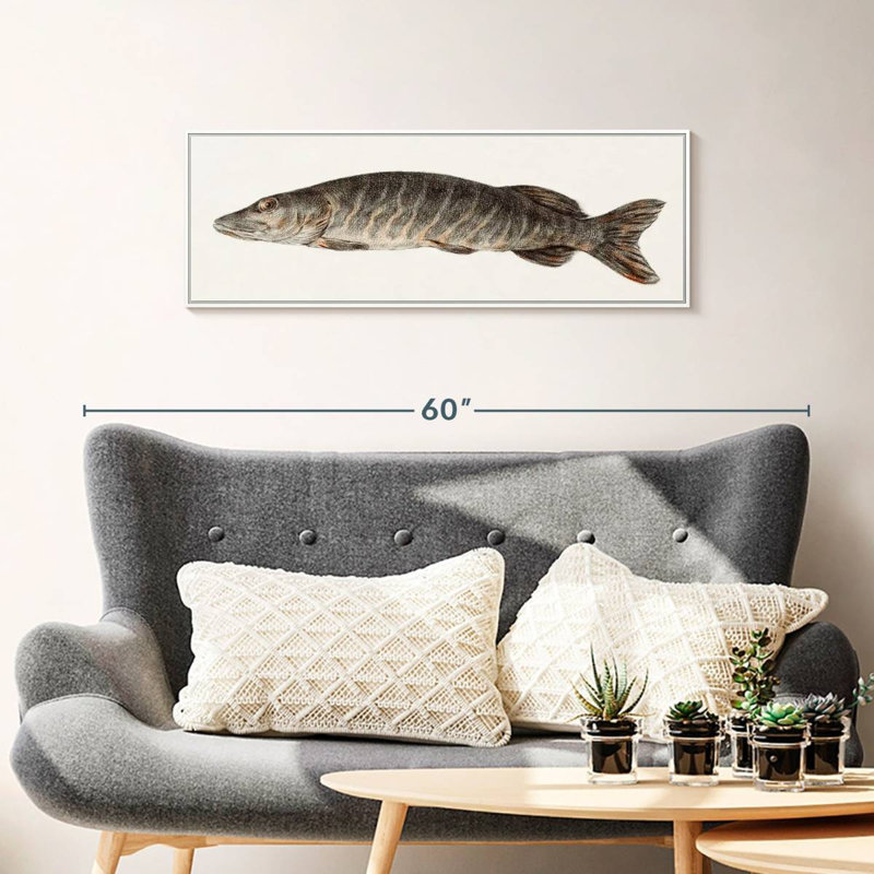 Brochet, 37" X 13", Floating Frame White