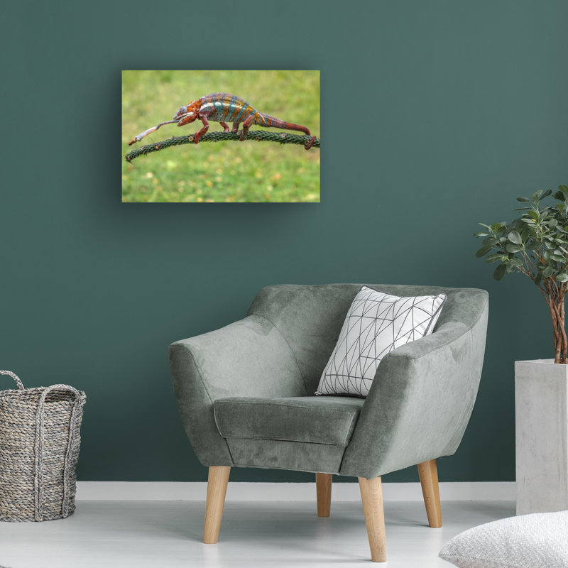 Art sur toile «Bachely», H 16 po x l 24 po