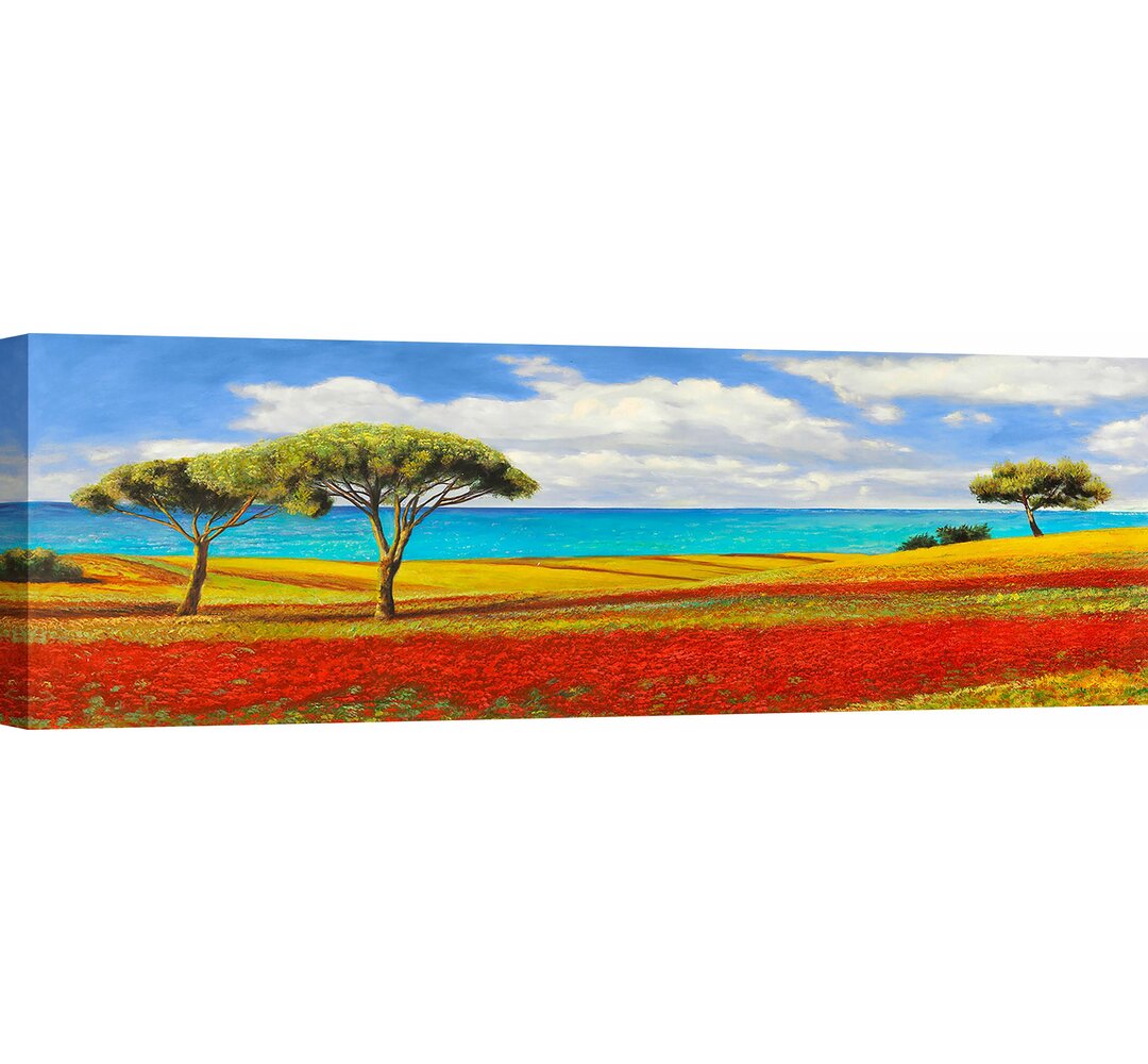 Leinwandbild Mediterranean Landscape von Angelo Masera