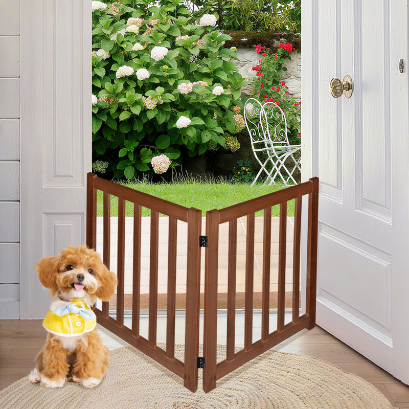 Barrière pour animaux pliable autoportante en bois massif pour chiens, 2 panneaux pour les portes, les escaliers et les petits espaces