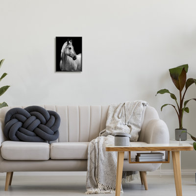 Ba-312-Framed " Horse On Black Portrait " by Danita Delimont