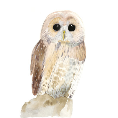 Hoo Dis IV
