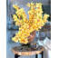 Cymbidiums In Moon Vase-332097416