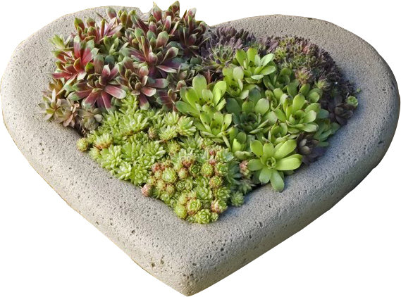 Heart Planter, 3" H x 12" W x 10" D, Verde
