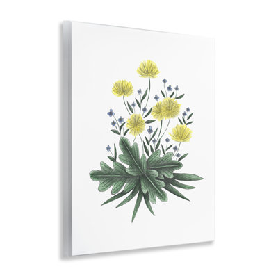 Illustration de fleur de pissenlit, plaque murale par Cecilia Battaini