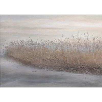 Roseau d'hiver
