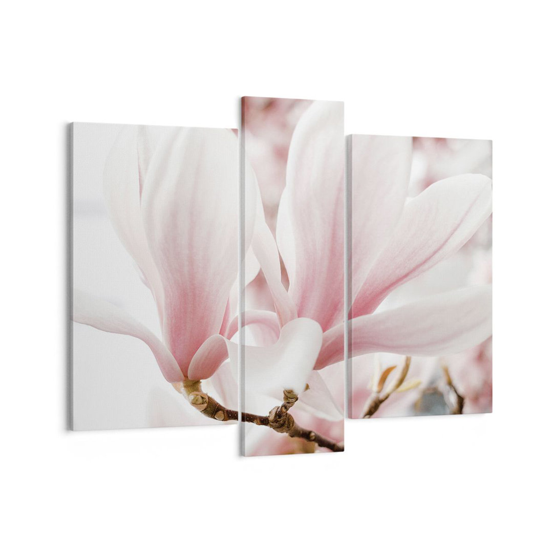 3-tlg. Leinwandbilder-Set Twig Magnolia Flower