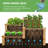 Aryabella Wood Raised Garden Bed