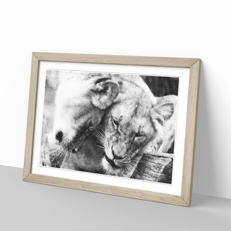 Two Snuggling Lions - Single Picture Frame Print on MDF, Oak, 33cm H x 45cm W x 2cm D