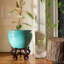 14" Sky Blue Fishbowl-1613852645-1629902150