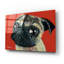 «Pugly» par Melissa Symons-680490279