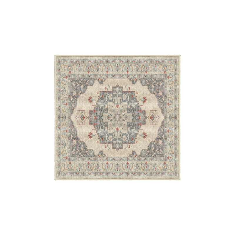 Fionola Hand Loomed Washable Oriental Indoor Rug, Square 3'
