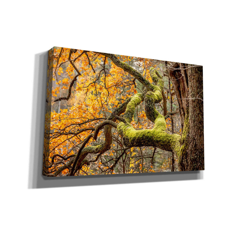 «Reaching Autumn Branch» par Nicklas Gustafsson, H 12 po x l 18 po x P 0,75 po