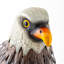 Statue de jardin aigle, faisant face à droite_x000D_
