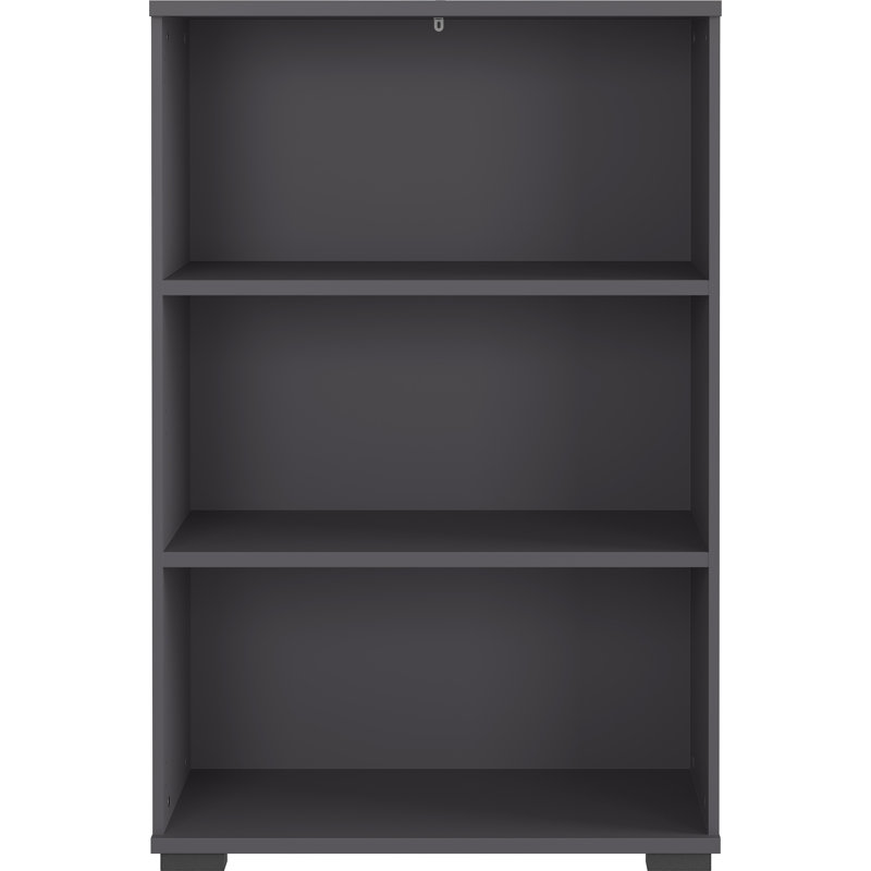 Chien 122.7cm H x 80.1cm W Standard Bookcase, Graphite