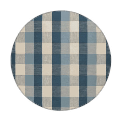 Checkered Blue Indoor and Outdoor Area Rug
