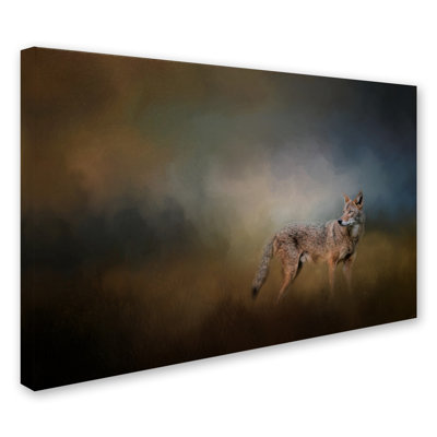 «Coyote at Shiloh» de Vidur, impression sur toile tendue